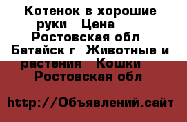 Котенок в хорошие руки › Цена ­ 0 - Ростовская обл., Батайск г. Животные и растения » Кошки   . Ростовская обл.